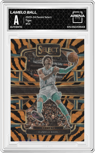LaMelo Ball from the 2023-24 Panini Select  set featuring a Tiger parallel graded by Arena Club.