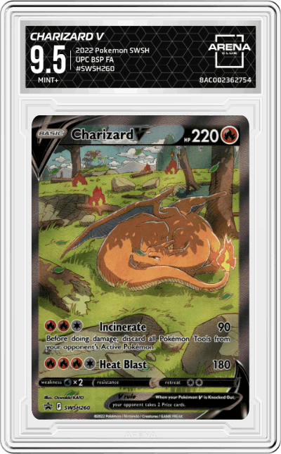 Charizard V