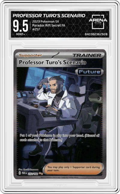 Professor Turo's Scenario