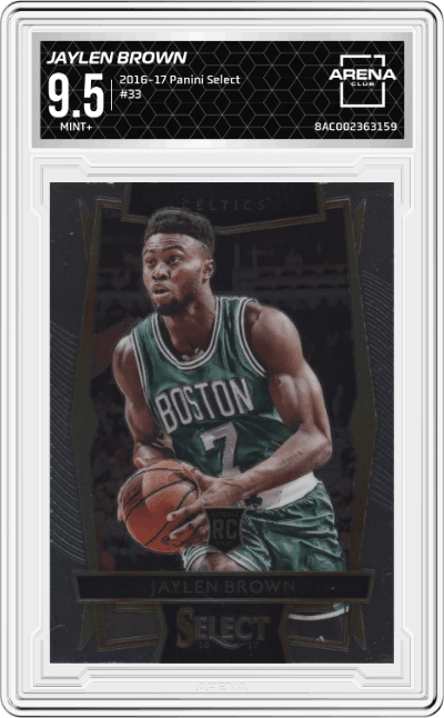 Jaylen Brown