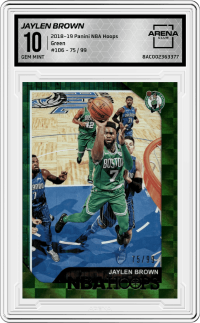 Jaylen Brown