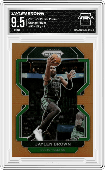Jaylen Brown
