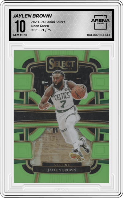 Jaylen Brown