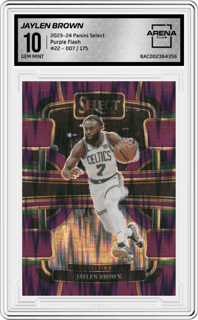 Jaylen Brown