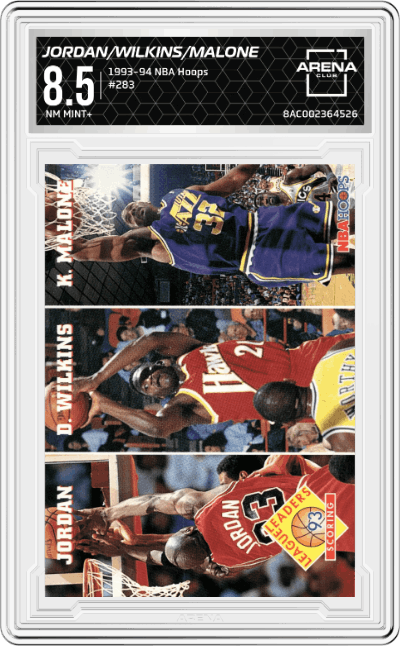 Michael Jordan/Dominique Wilkins/Karl Malone