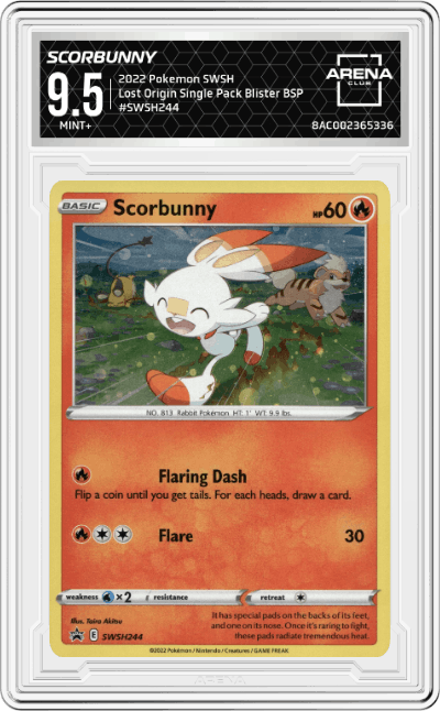 Scorbunny