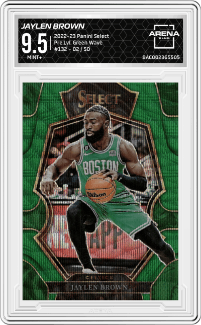 Jaylen Brown