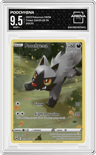 Poochyena from the 2023 Pokemon SWSH set graded by Arena Club and given an overall grade of 9.5.