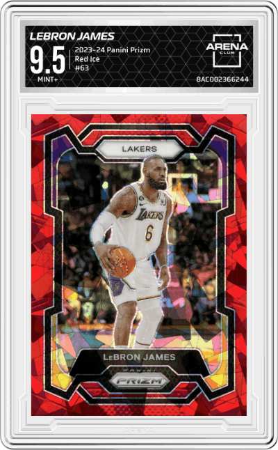 LeBron James