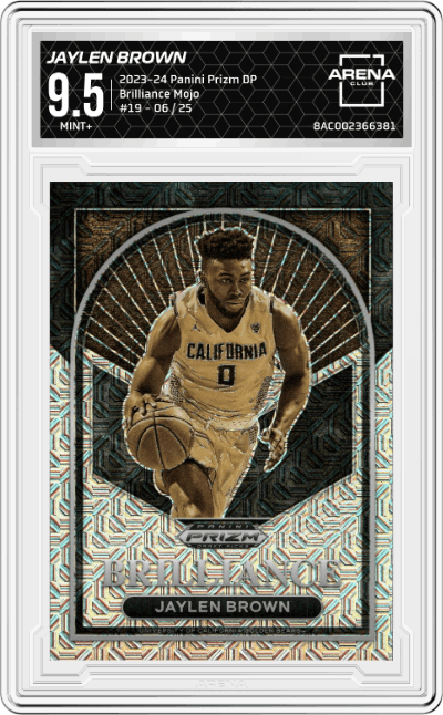 Jaylen Brown
