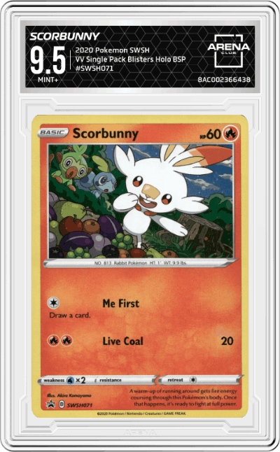 Scorbunny