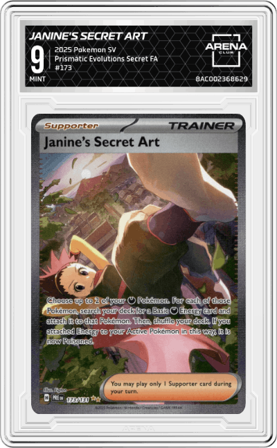 Janine's Secret Art