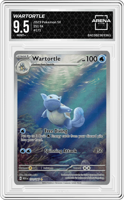 Wartortle
