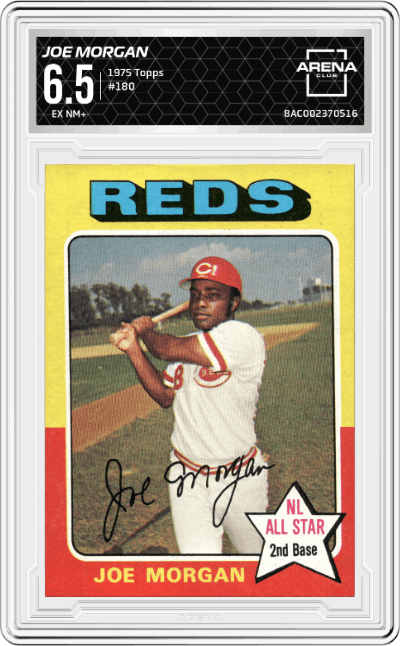 Joe Morgan