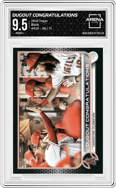 Dugout Congratulations