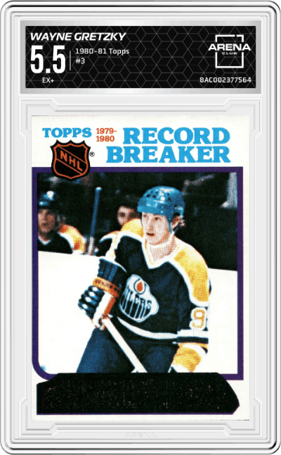 Wayne Gretzky Record Breaker