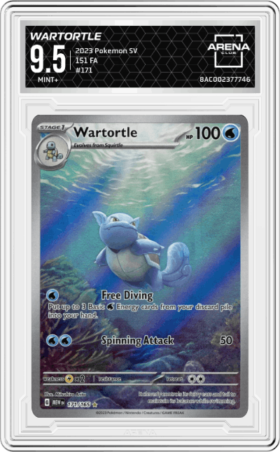 Wartortle