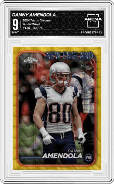 Danny Amendola