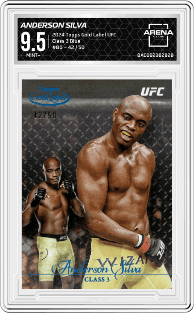 Anderson Silva
