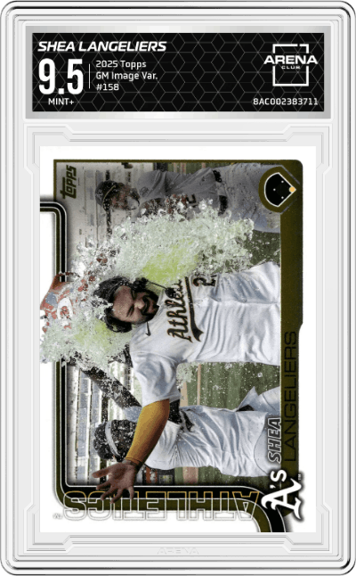 Shea Langeliers