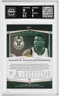 Giannis Antetokounmpo from the 2017-18 Panini Ascension set and given an overall grade of 8.5.