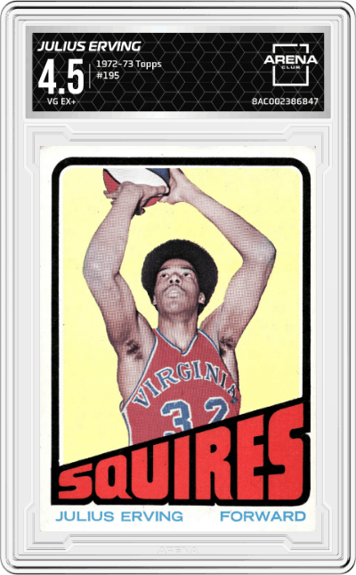 Julius Erving