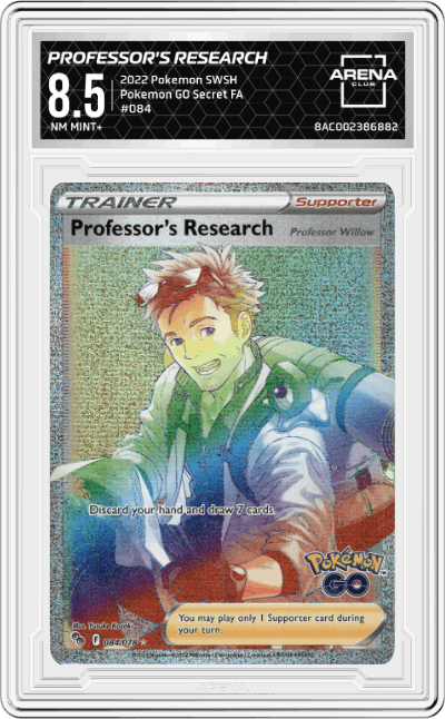 Professor's Research / Professor Willow
