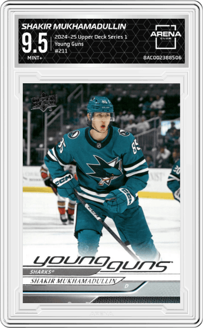 Shakir Mukhamadullin