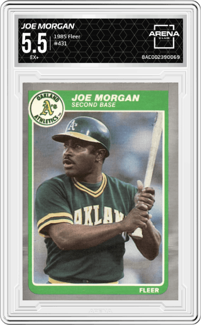 Joe Morgan
