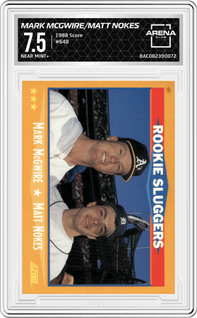 Mark McGwire/Matt Nokes