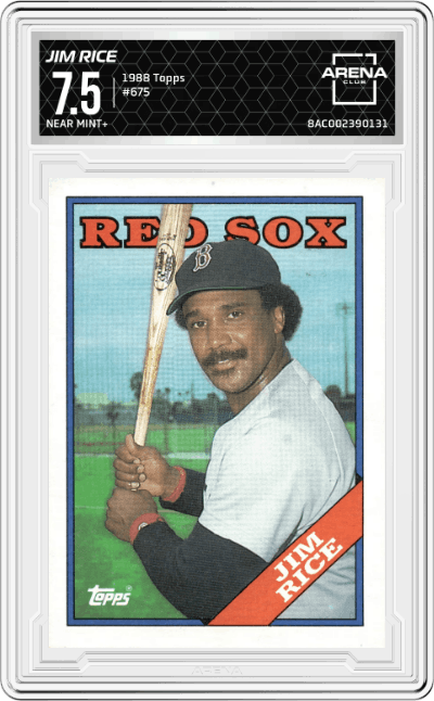 Jim Rice