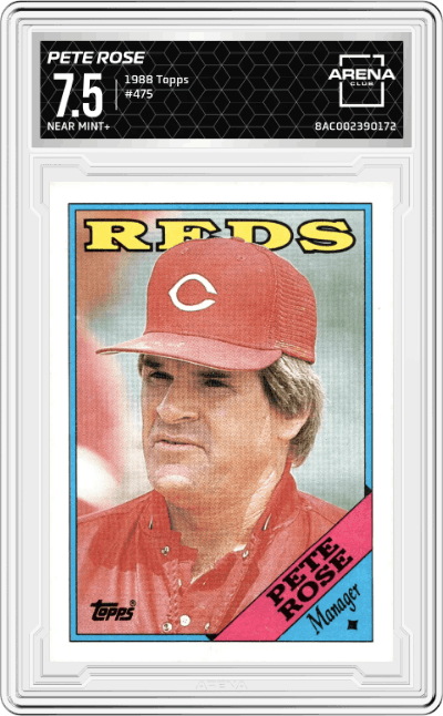 Pete Rose