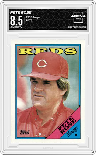 Pete Rose from the 1988 Topps set graded by Arena Club and given an overall grade of 8.5.