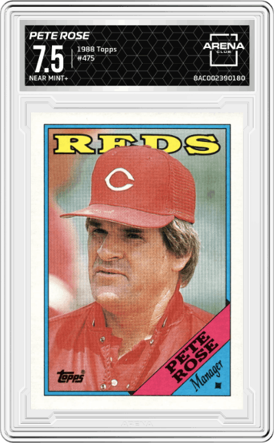 Pete Rose