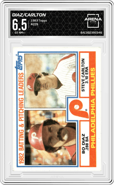 Bo Diaz / Steve Carlton