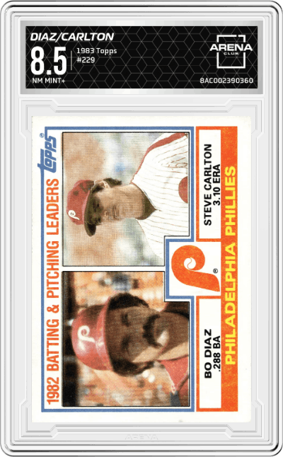 Bo Diaz / Steve Carlton