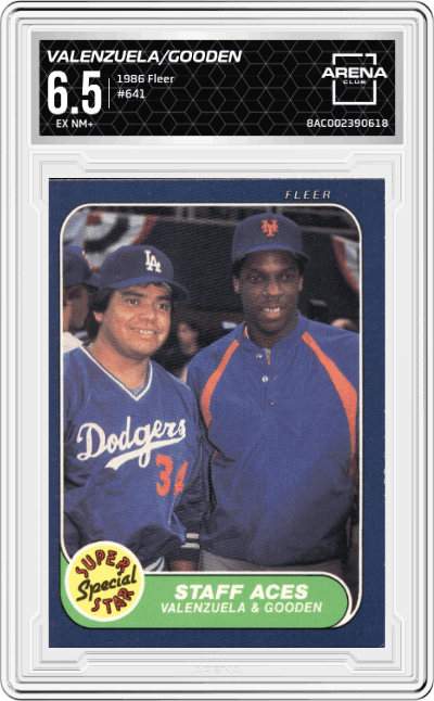 Fernando Valenzuela/Dwight Gooden