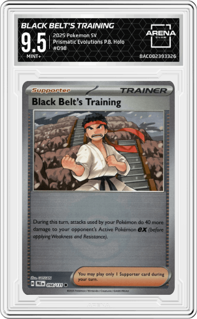 Black Belt's Training