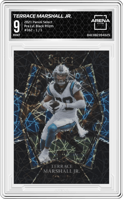 Terrace Marshall Jr. 