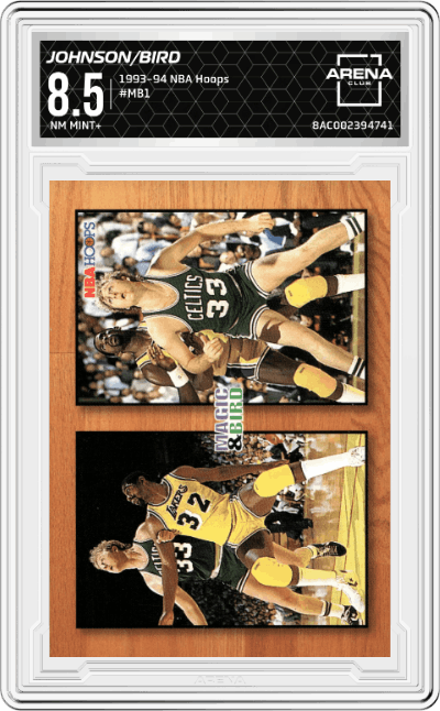 Magic Johnson/Larry Bird