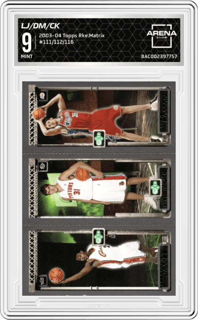 LeBron James/Darko Milicic/Chris Kaman