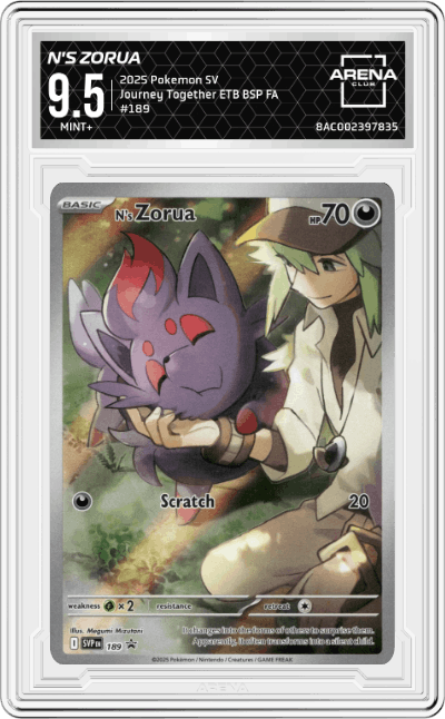 N's Zorua