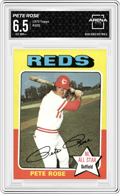 Pete Rose