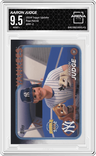 Aaron Judge