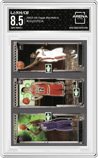 LeBron James/Kirk Hinrich/Chris Bosh