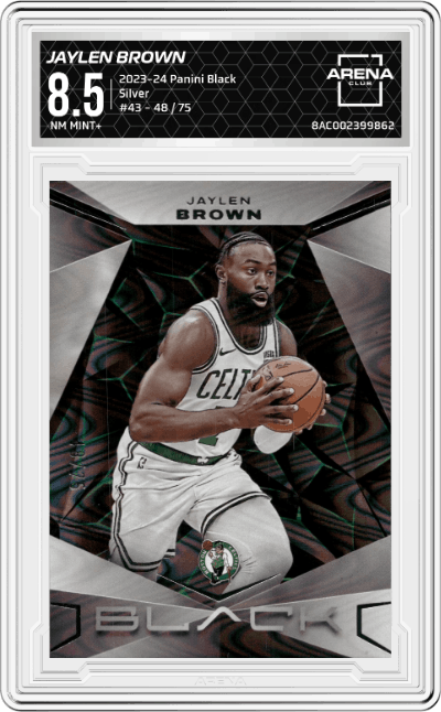 Jaylen Brown