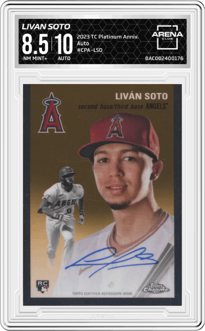 Livan Soto