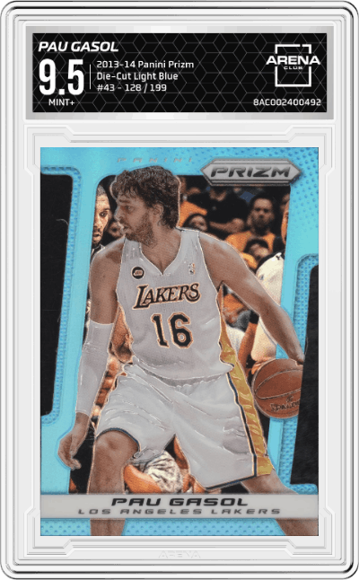 Pau Gasol