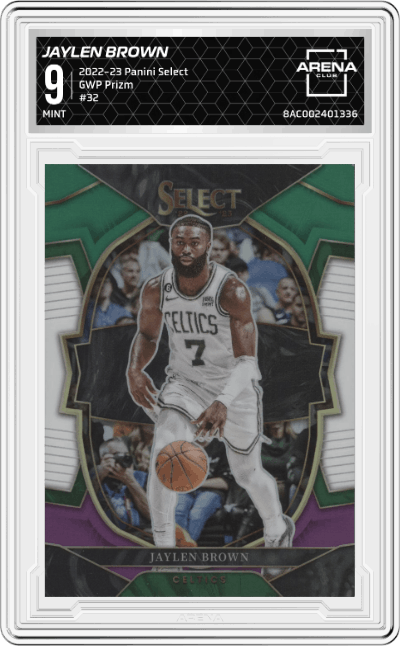 Jaylen Brown