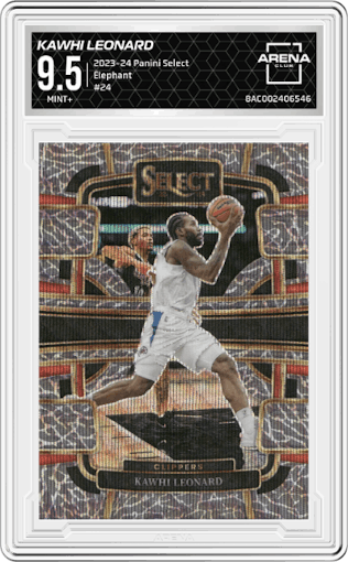 Kawhi Leonard from the 2023-24 Panini Select  set featuring a Elephant Prizm parallel graded by Arena Club and given an overall grade of 9.5.